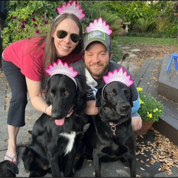 LIVE SHOWS NOTIFICATIONS / HOST APPRECIATION - Picture 7 of 15